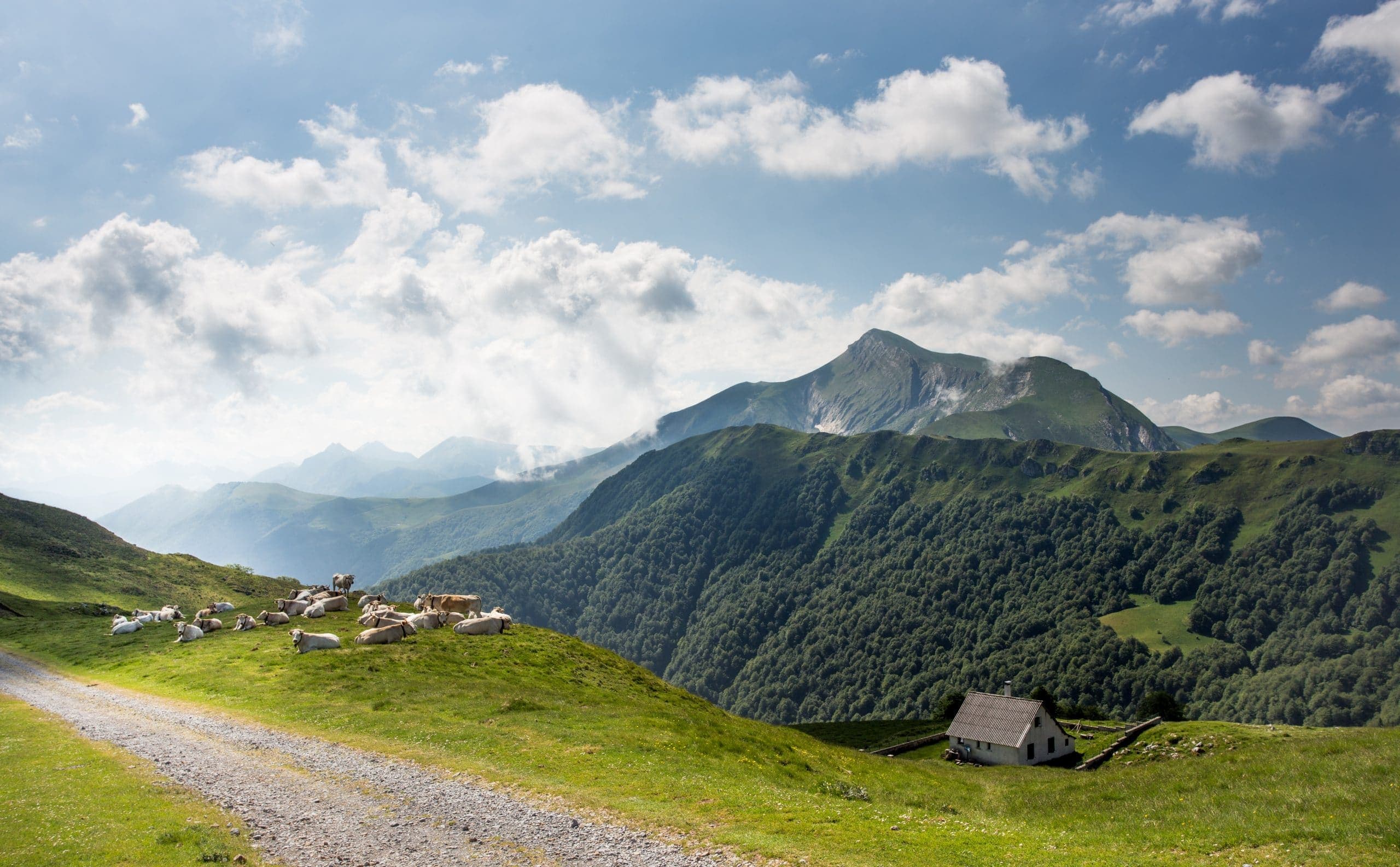 La forêt d'Iraty - photo 1